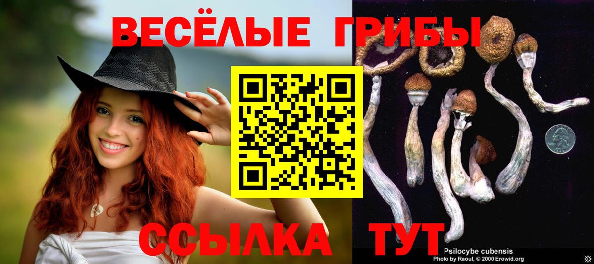 Галлюциногенные грибы Cubensis Междуреченск